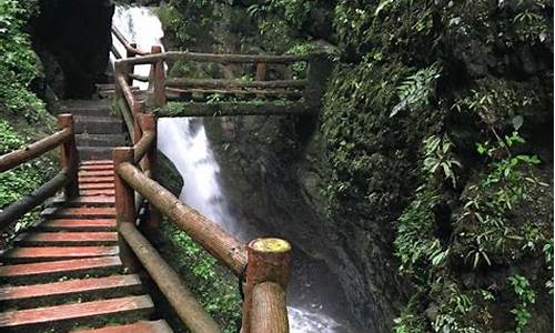 青城山后山旅游攻略_青城山后山旅游攻略大全